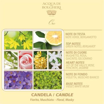 Preview: Acqua di Bolgheri - Oro Duftkerze 200 g